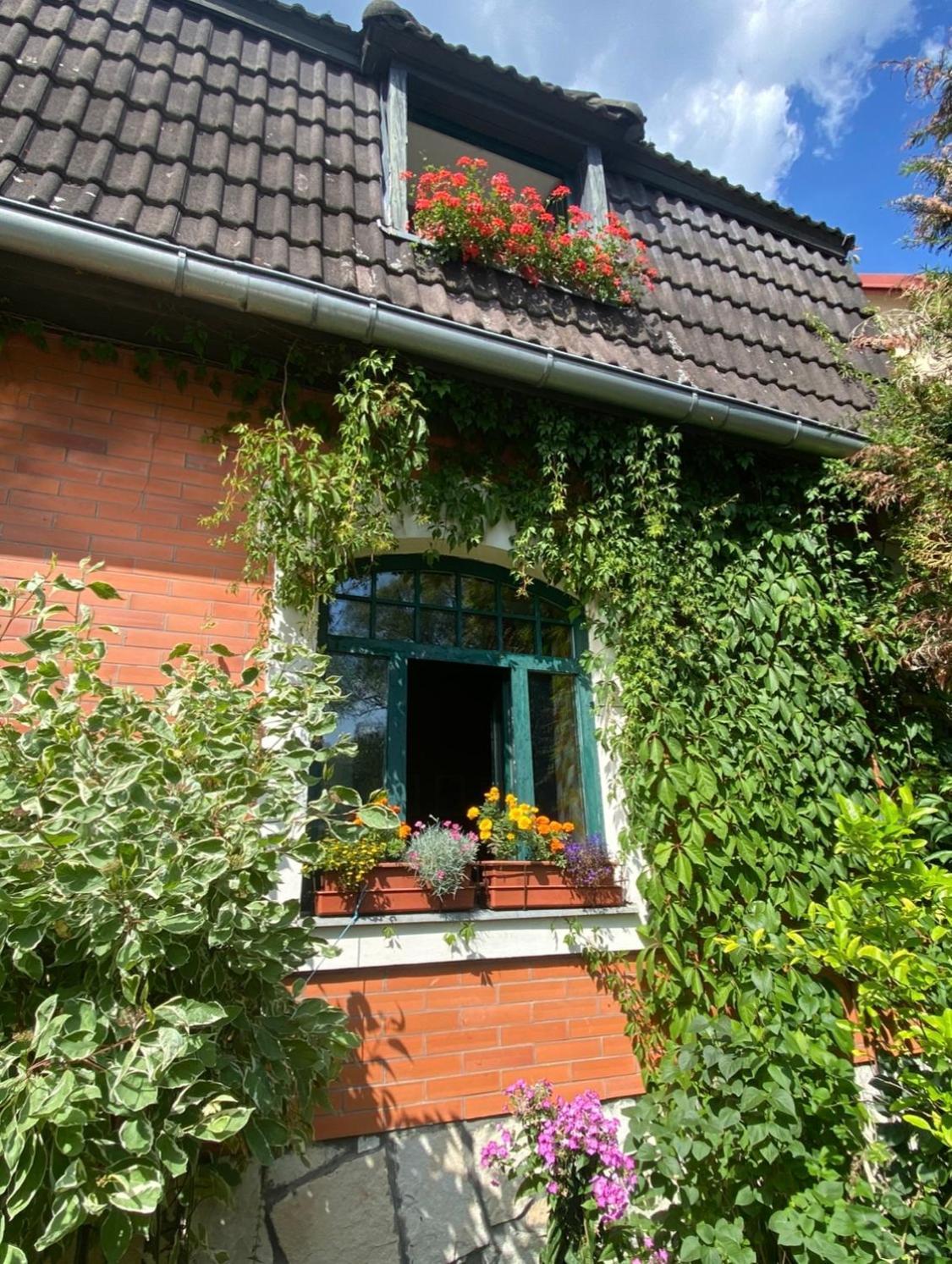 Apartman Dum U Kouli Prameny Exterior foto